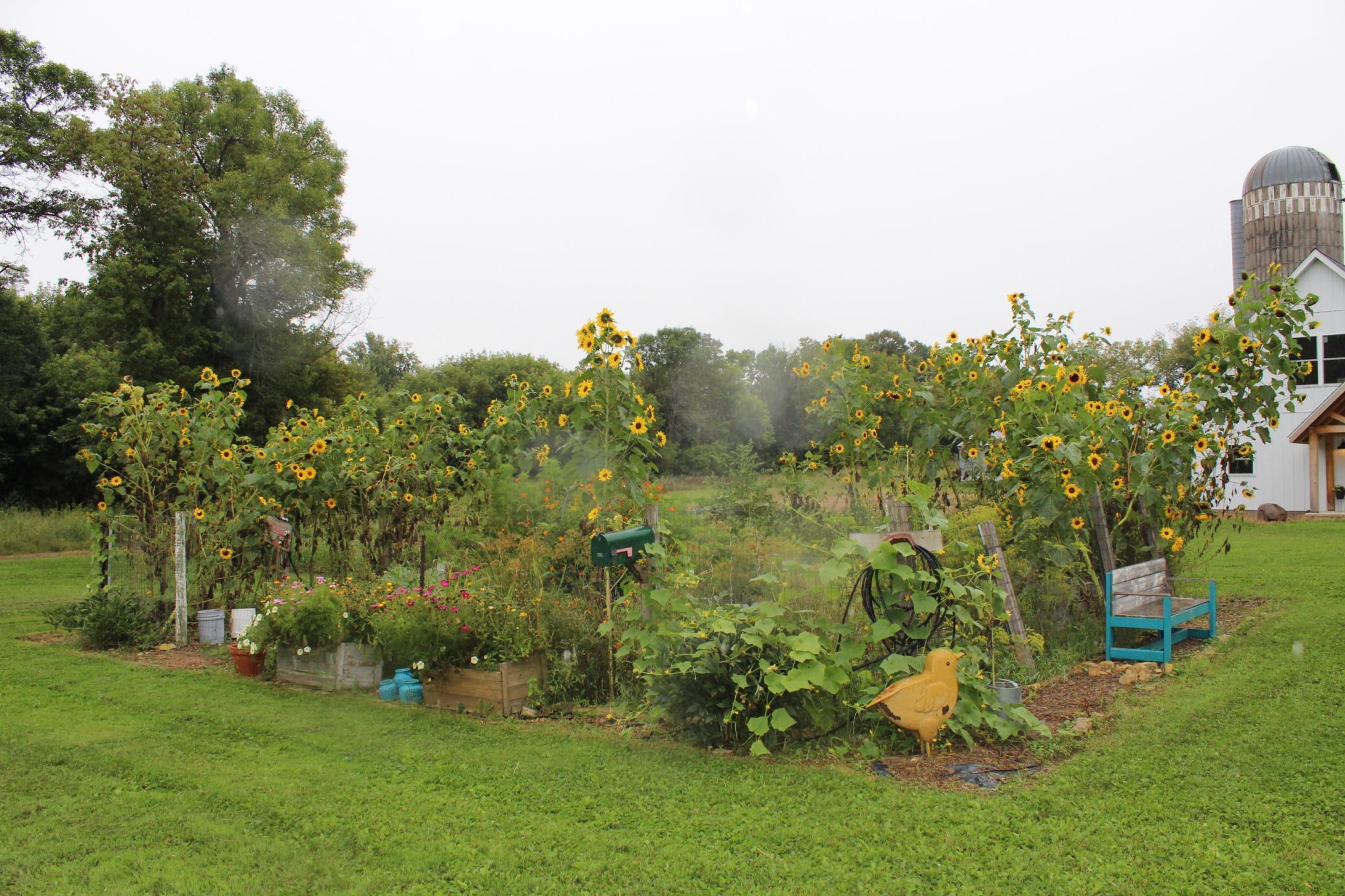 14984 135th Street Foreston, MN 56330 - Photo 26 of 42