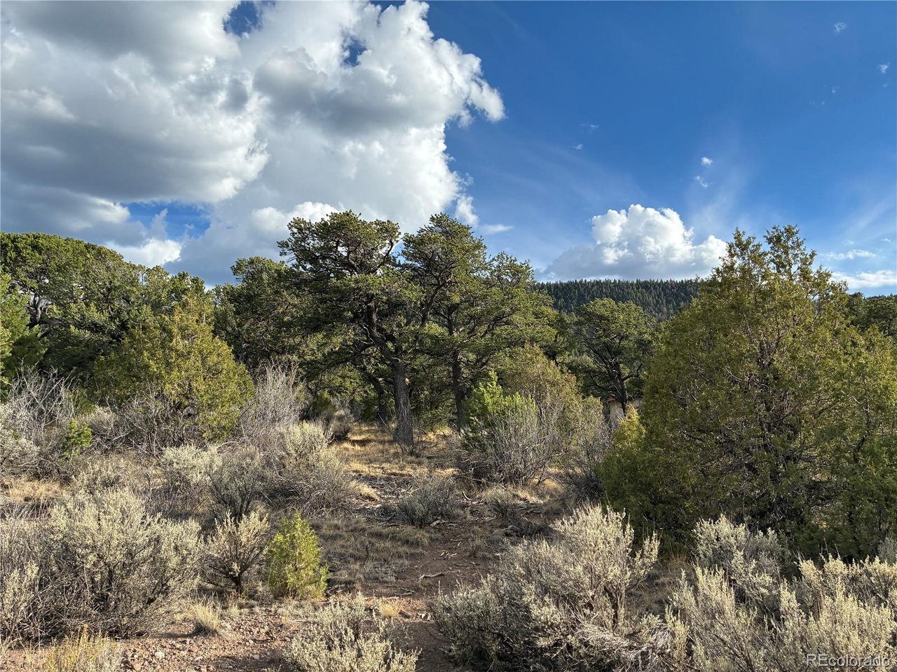 5 Kermit Road Fort Garland, CO 81133 - Photo 15 of 21 Gallery Image 15