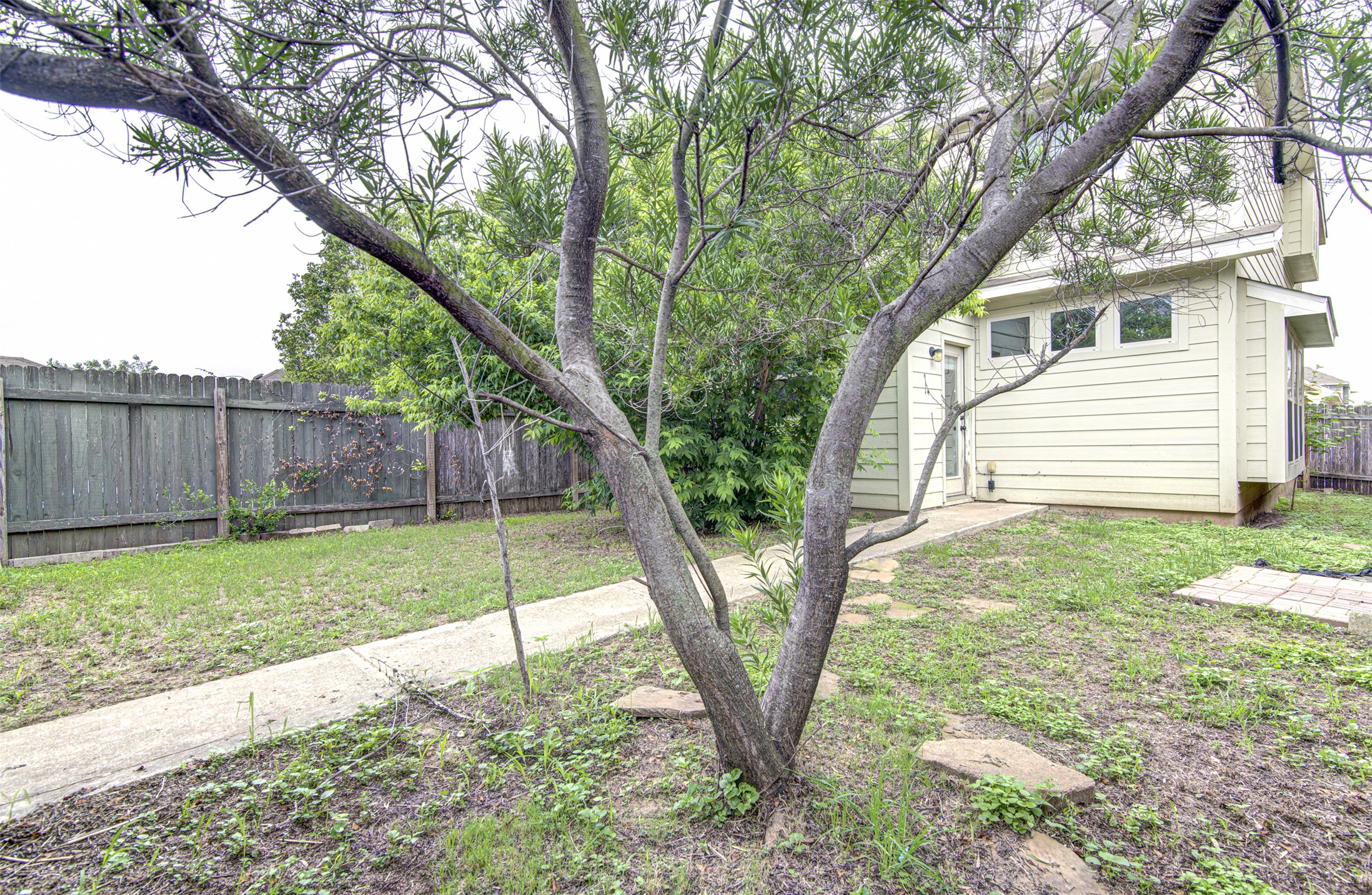 4527 Kind Way, Unit 231 Austin, TX 78725 - Photo 16 of 18 Expansive backyard featuring a mature tree, wood privacy fencing, and a concrete pathway