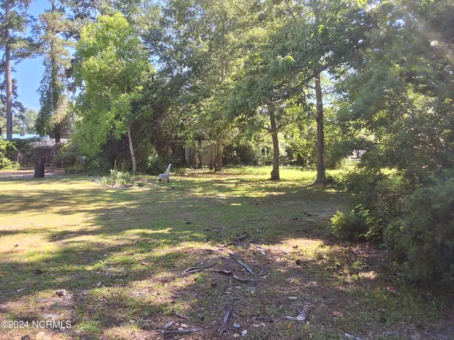 $312,500 | 201 East Bell Street, Tabor City, NC 28463