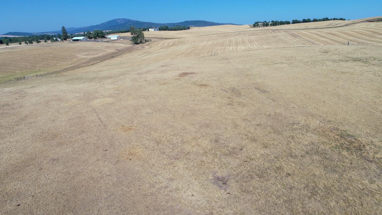 Nka South Sands Road Valleyford, WA 99036 - Photo 11 of 11