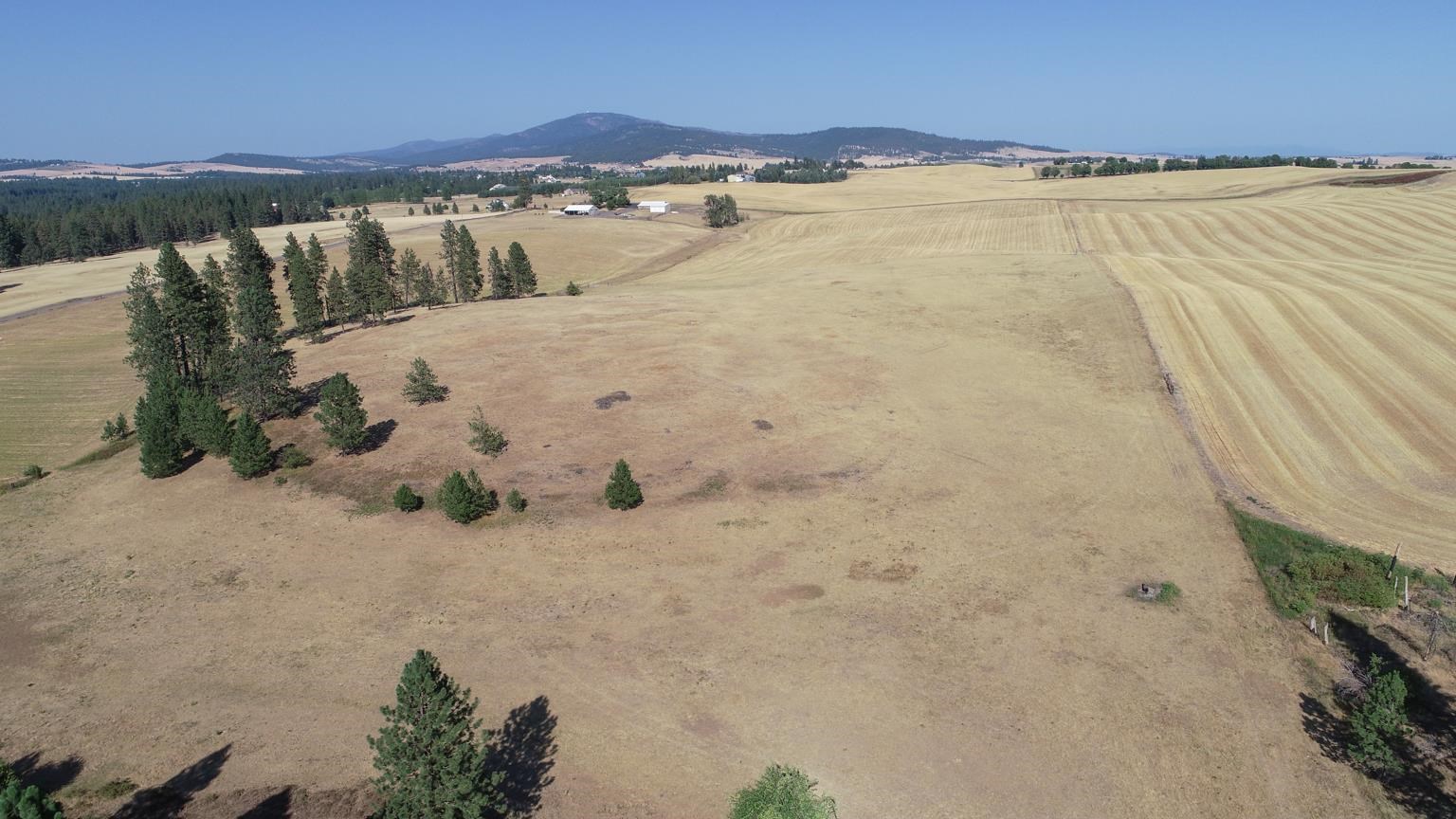 Nka South Sands Road Valleyford, WA 99036 - Photo 6 of 11