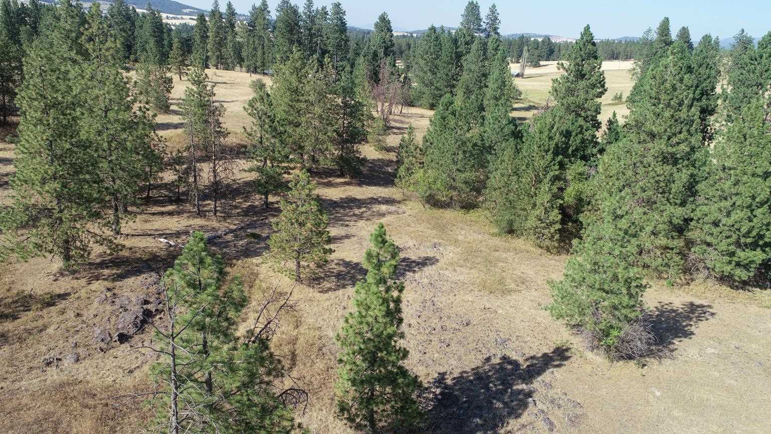 Nka South Sands Road Valleyford, WA 99036 - Photo 8 of 11