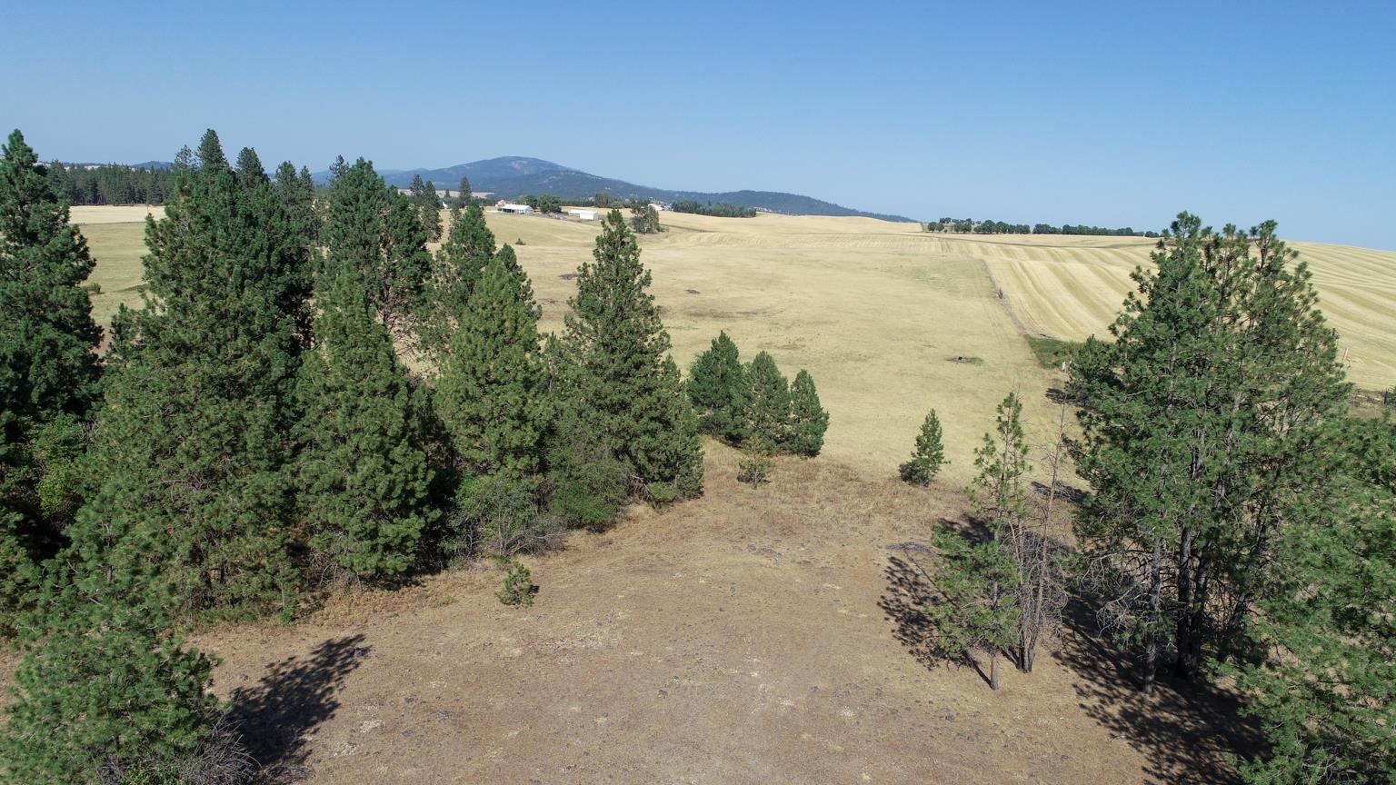 Nka South Sands Road Valleyford, WA 99036 - Photo 9 of 11