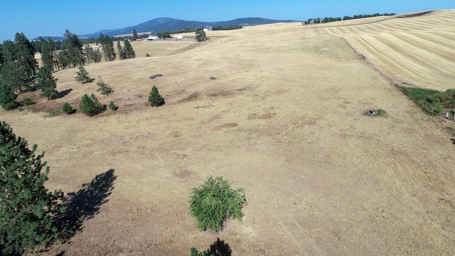 Nka South Sands Road Valleyford, WA 99036 - Photo 10 of 11