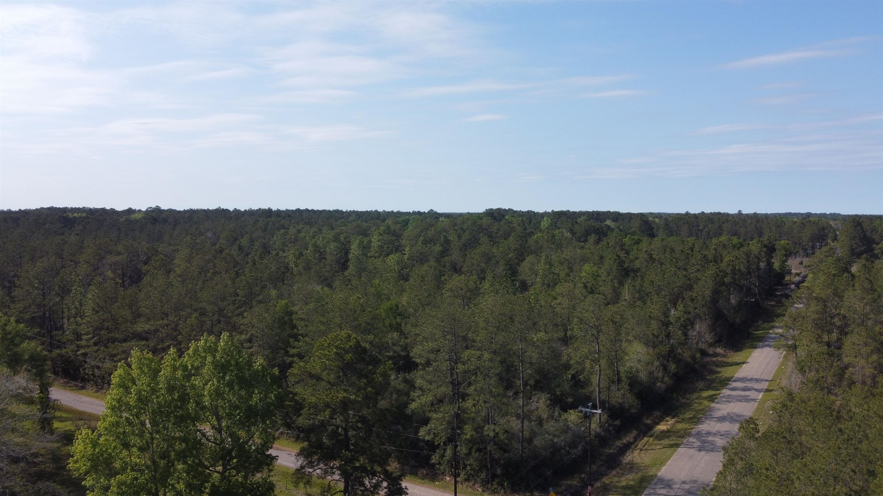 Five 5 Acre Tract Road Buna, TX 77612 - Photo 7 of 13