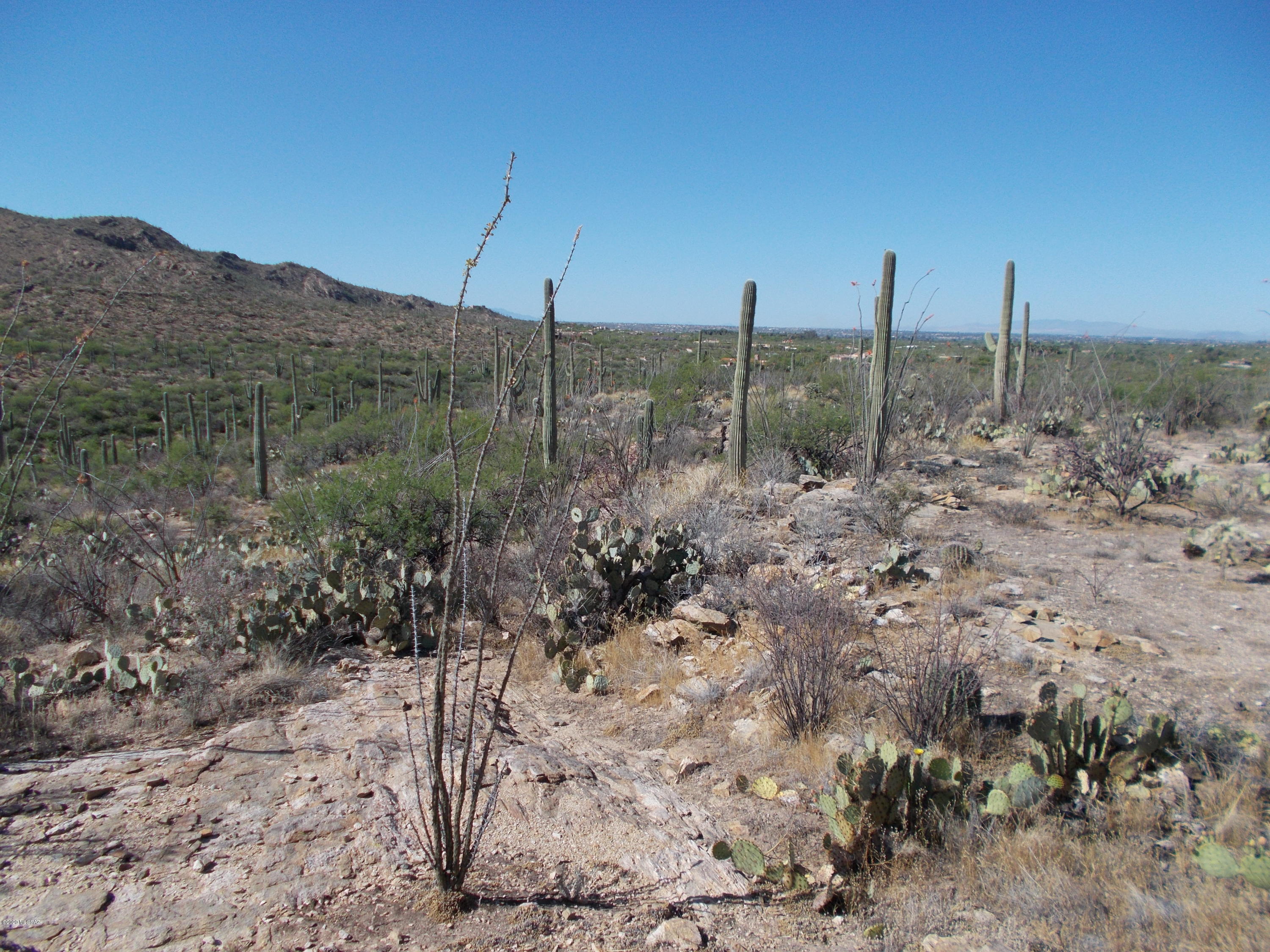 12702 East Horsehead Road Tucson, AZ 85749 - Photo 12 of 16 Gallery Image 12