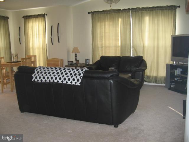 20958 Timber Ridge Terrace, Unit 301 Ashburn, VA 20147 - Photo 1 of 11 Living Room