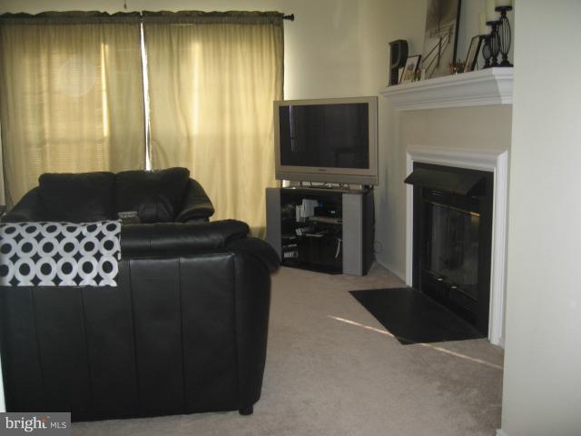 20958 Timber Ridge Terrace, Unit 301 Ashburn, VA 20147 - Photo 4 of 11 Living Room