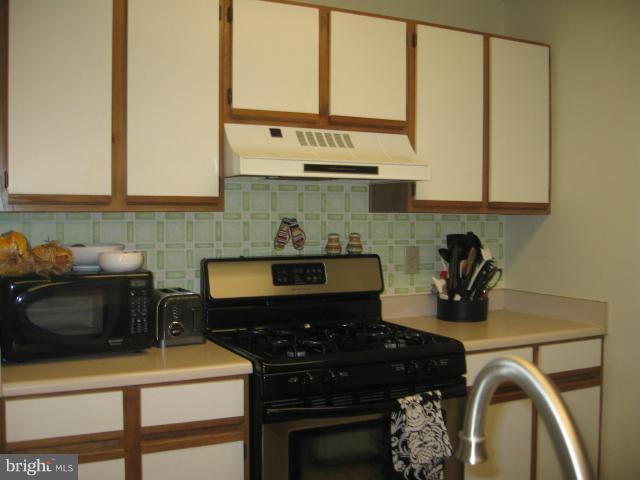 20958 Timber Ridge Terrace, Unit 301 Ashburn, VA 20147 - Photo 10 of 11 Kitchen
