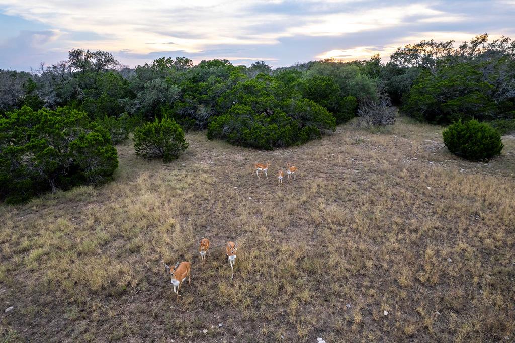 Undisclosed Address Rocksprings, TX 78880 - Photo 27 of 50