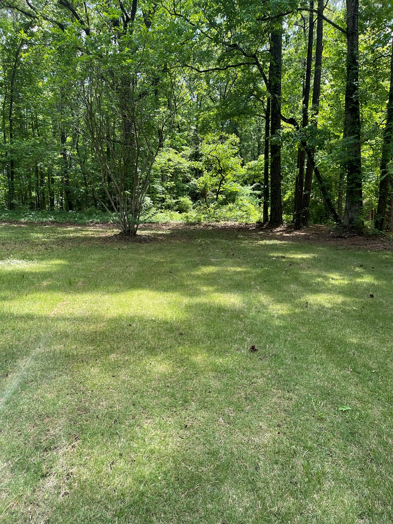 126 Antioch Church Road Fortson, GA 31808 - Photo 5 of 6 Gallery Image 5