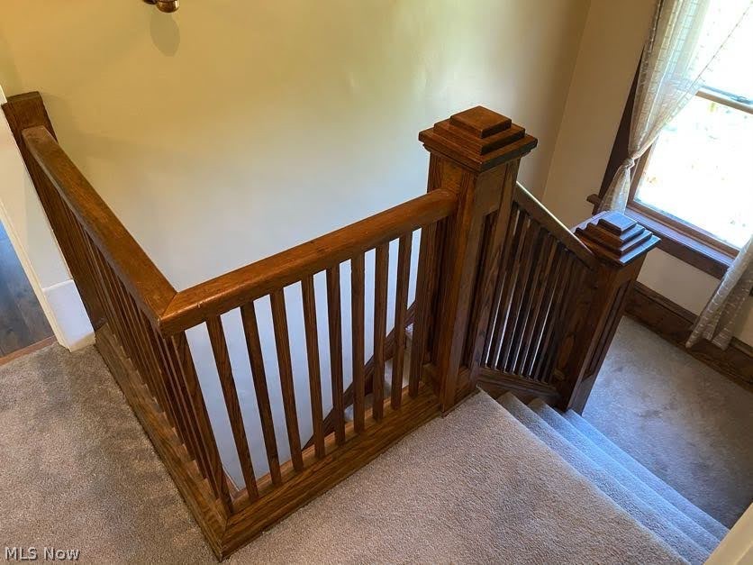 13184 Carter Road Painesville, OH 44077 - Photo 20 of 35 Gallery Image 20