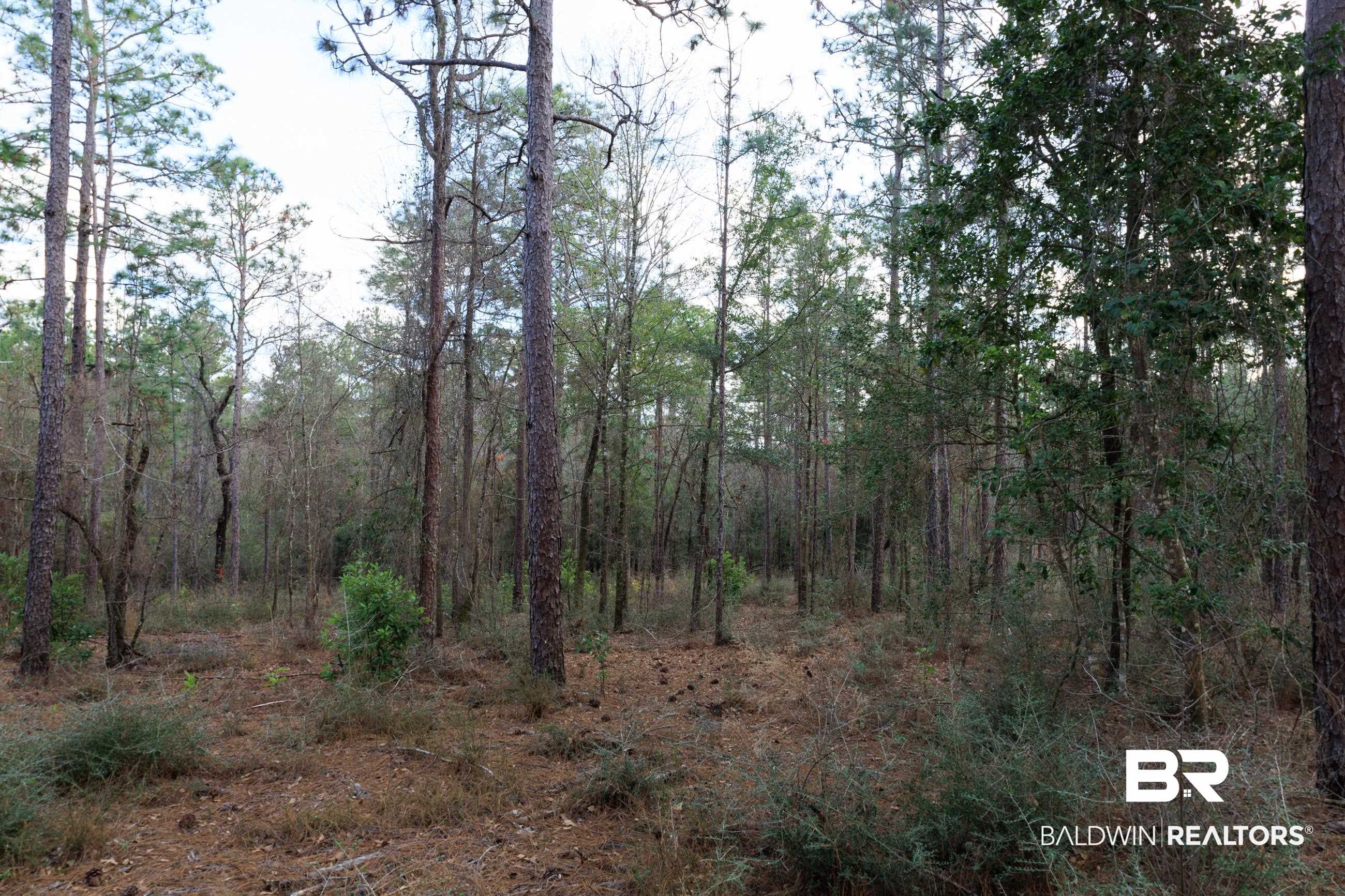0 Bromley Road Daphne, AL 36527 - Photo 11 of 16
