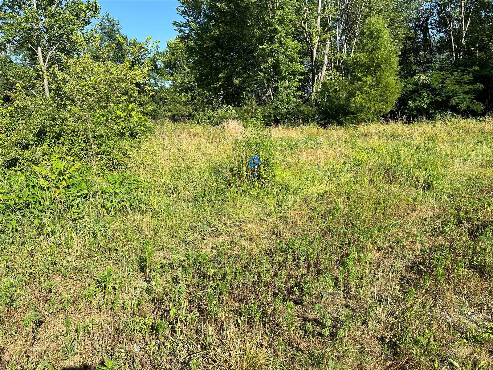 0 Vole Road Cutler, IL 62238 - Photo 11 of 17 Gallery Image 11