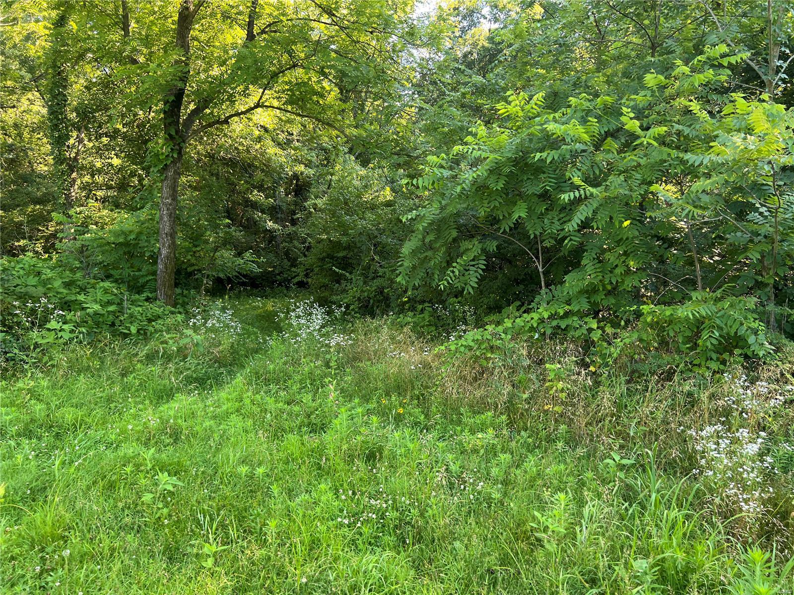 0 Vole Road Cutler, IL 62238 - Photo 14 of 17 Gallery Image 14