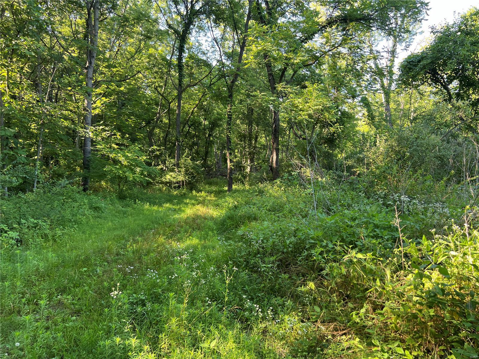 0 Vole Road Cutler, IL 62238 - Photo 15 of 17 Gallery Image 15