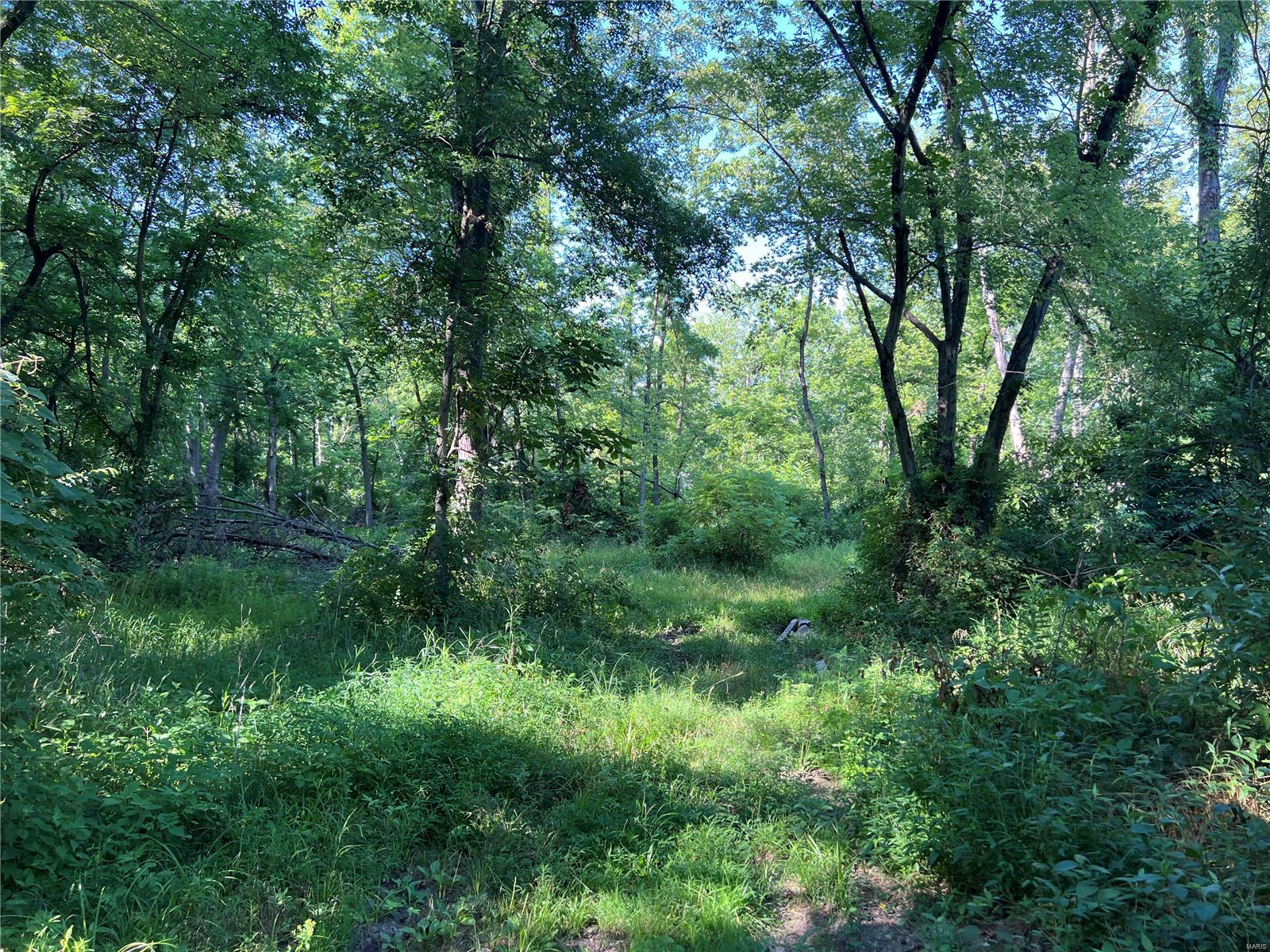 0 Vole Road Cutler, IL 62238 - Photo 16 of 17 Gallery Image 16