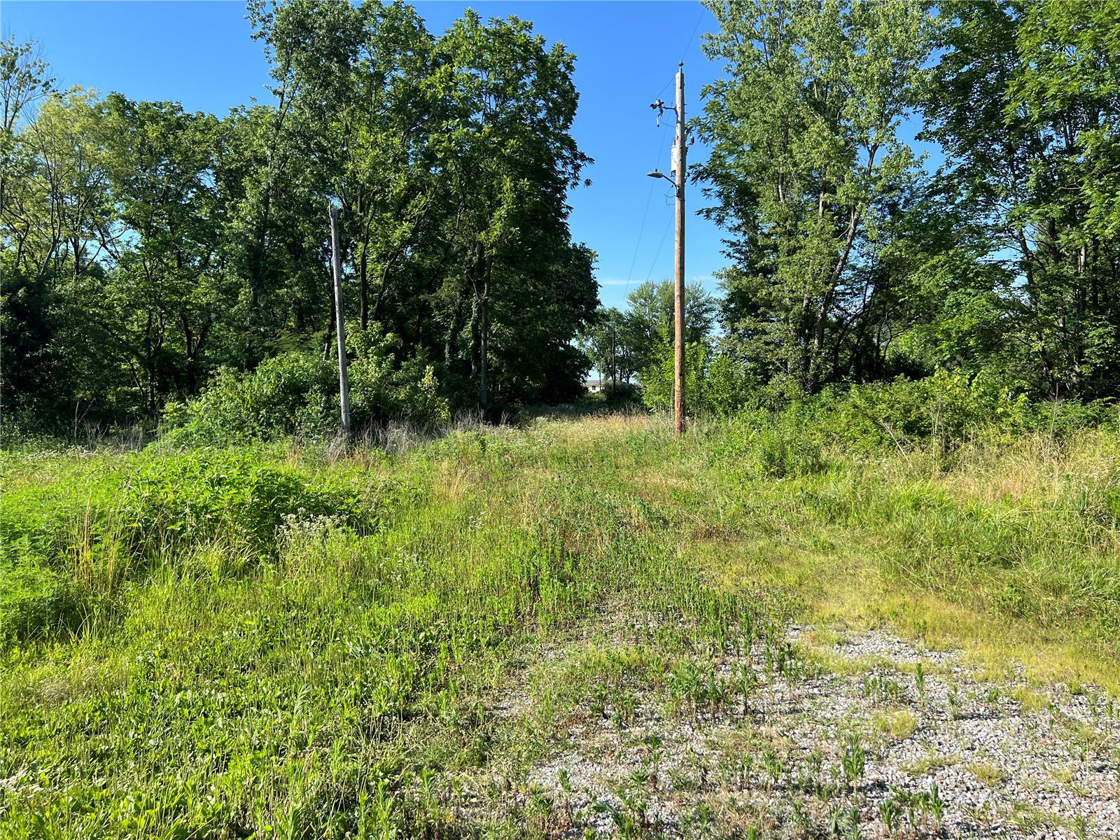 0 Vole Road Cutler, IL 62238 - Photo 5 of 17 Gallery Image 5