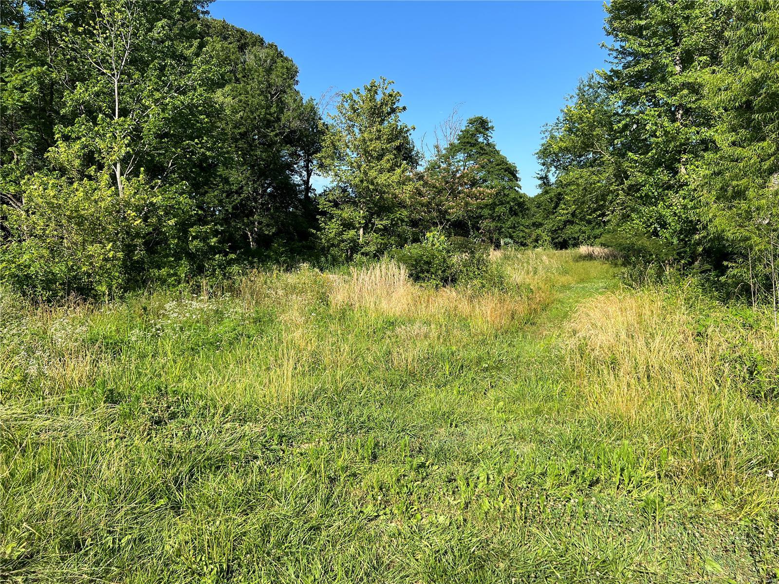 0 Vole Road Cutler, IL 62238 - Photo 6 of 17 Gallery Image 6