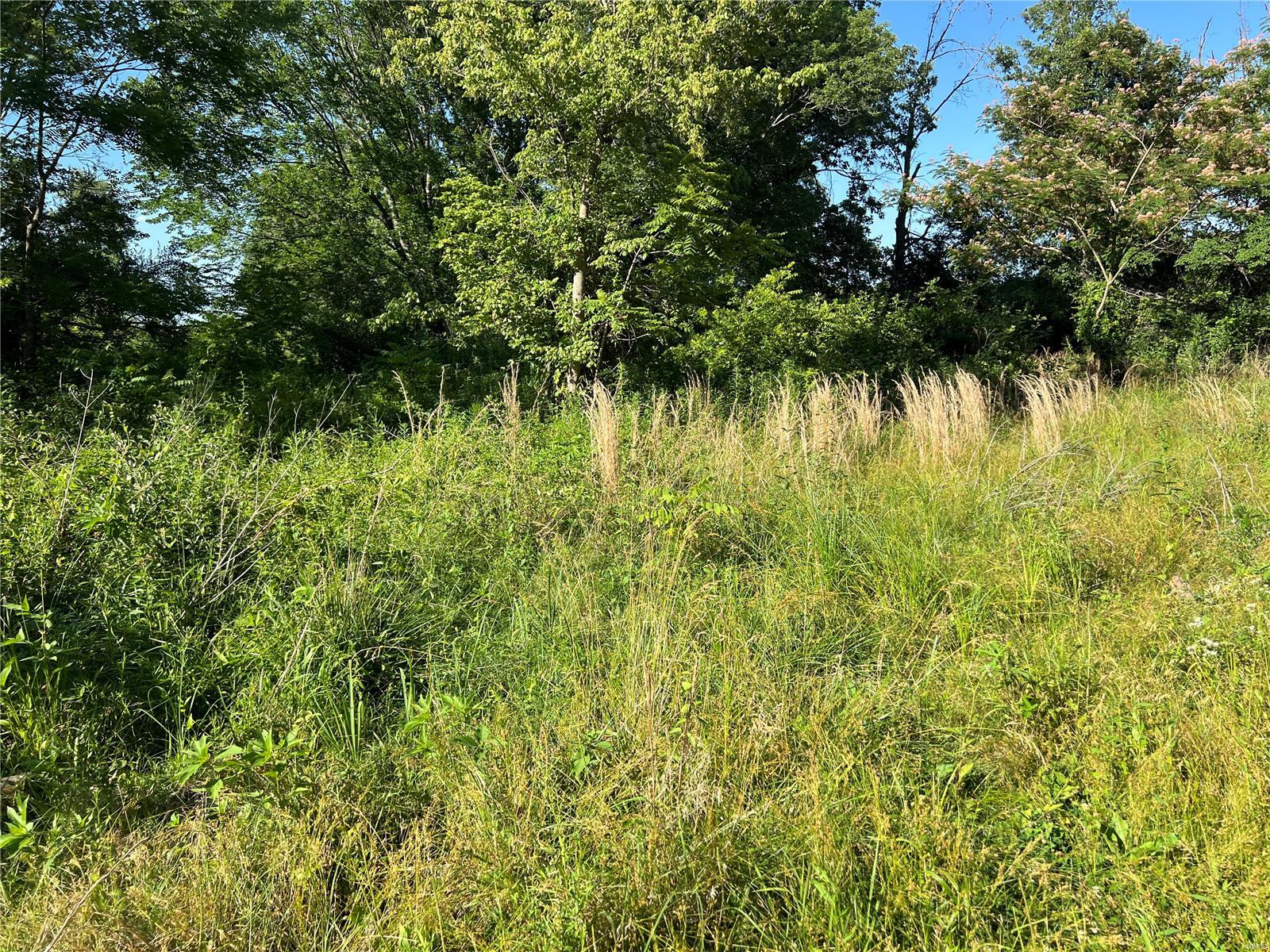 0 Vole Road Cutler, IL 62238 - Photo 7 of 17 Gallery Image 7