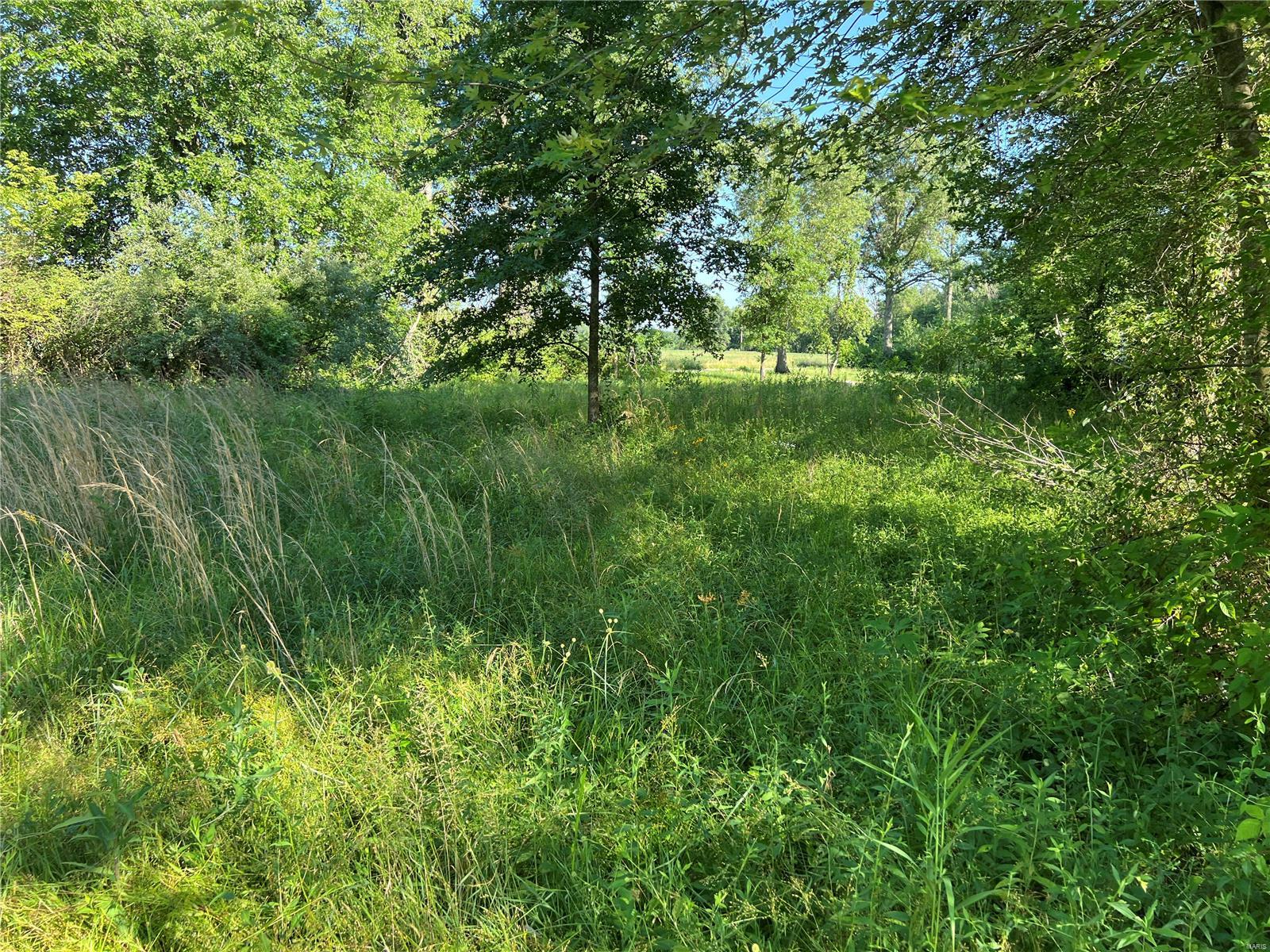 0 Vole Road Cutler, IL 62238 - Photo 8 of 17 Gallery Image 8