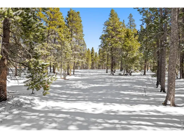 a house with trees in front of it
