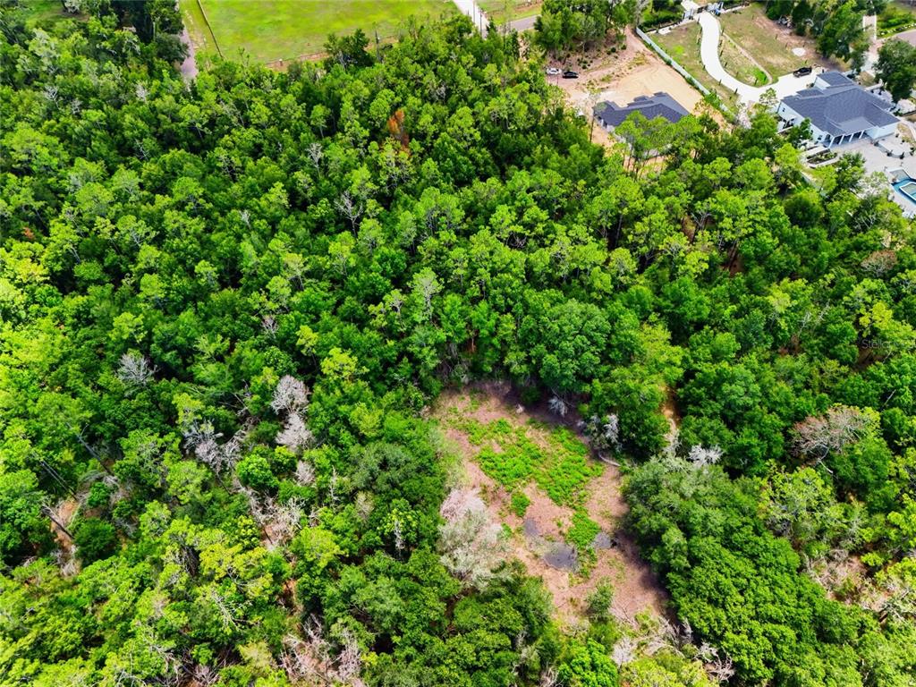 Centennial Road Dade City, FL 33525 - Photo 12 of 14
