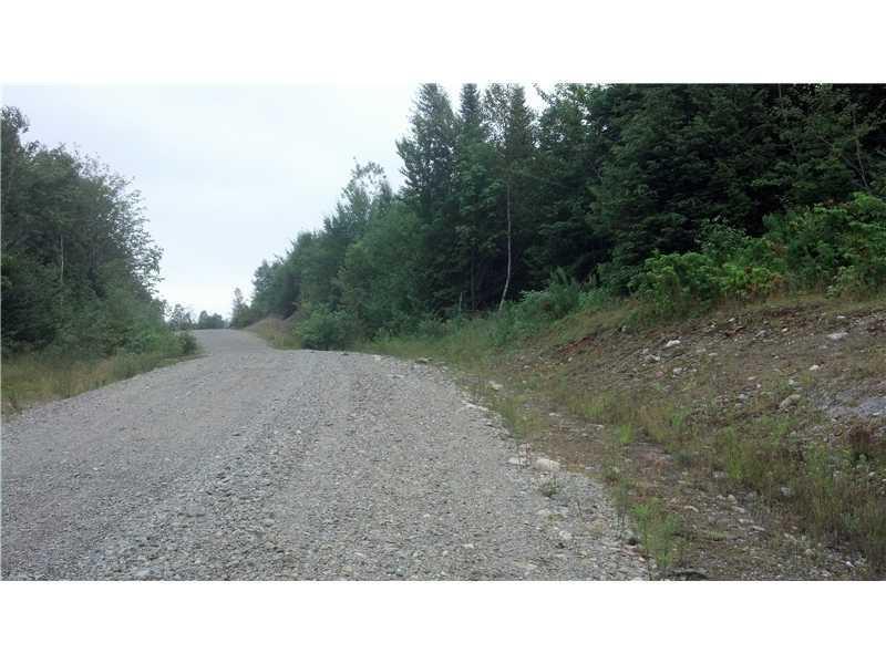 Lot # West Pleasant River Lake Road Beddington, ME 04622 - Photo 4 of 4 Land/Lot.