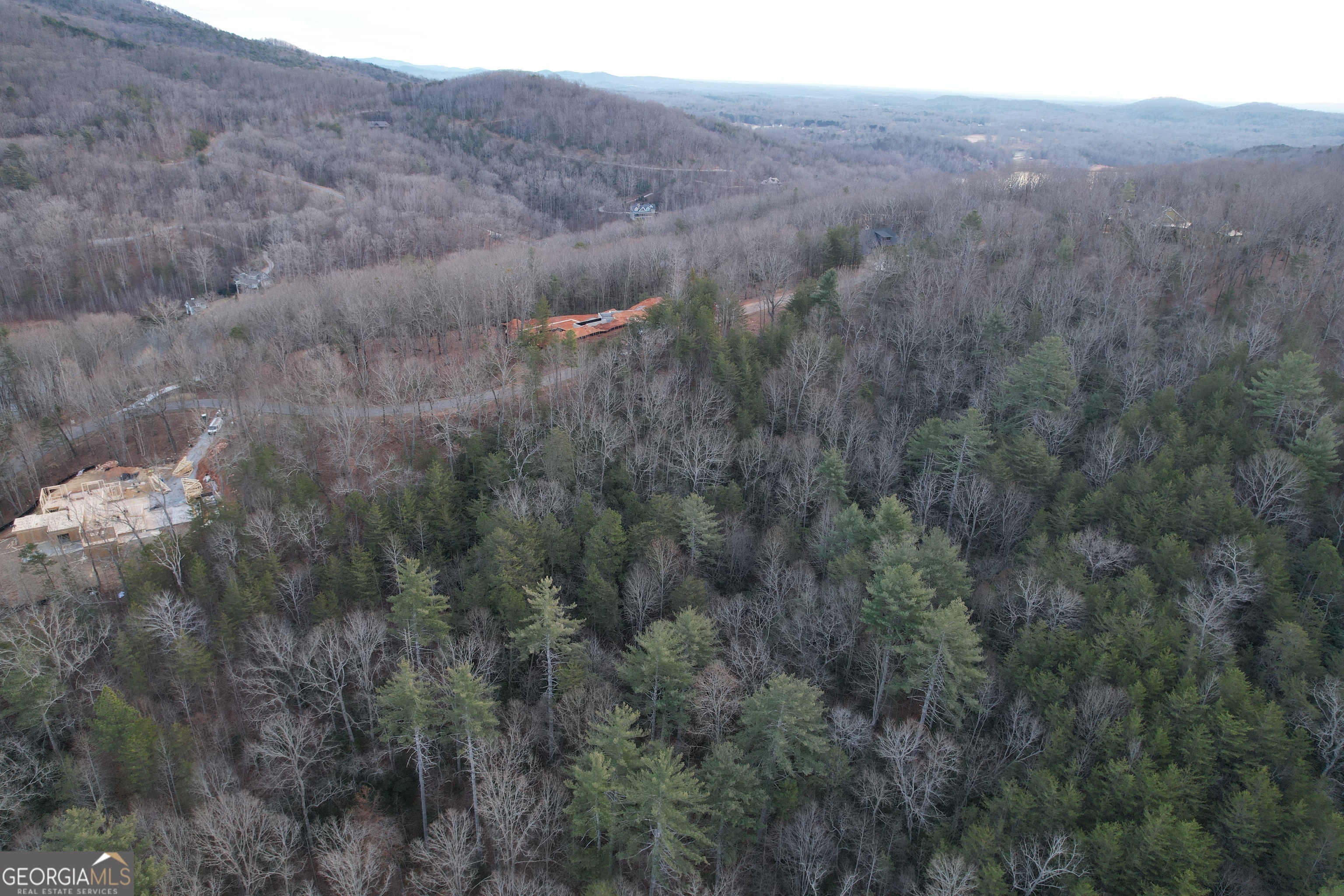 0 North Laceola Road, Unit LOT 119 Cleveland, GA 30528 - Photo 16 of 21 a view of a dry yard
