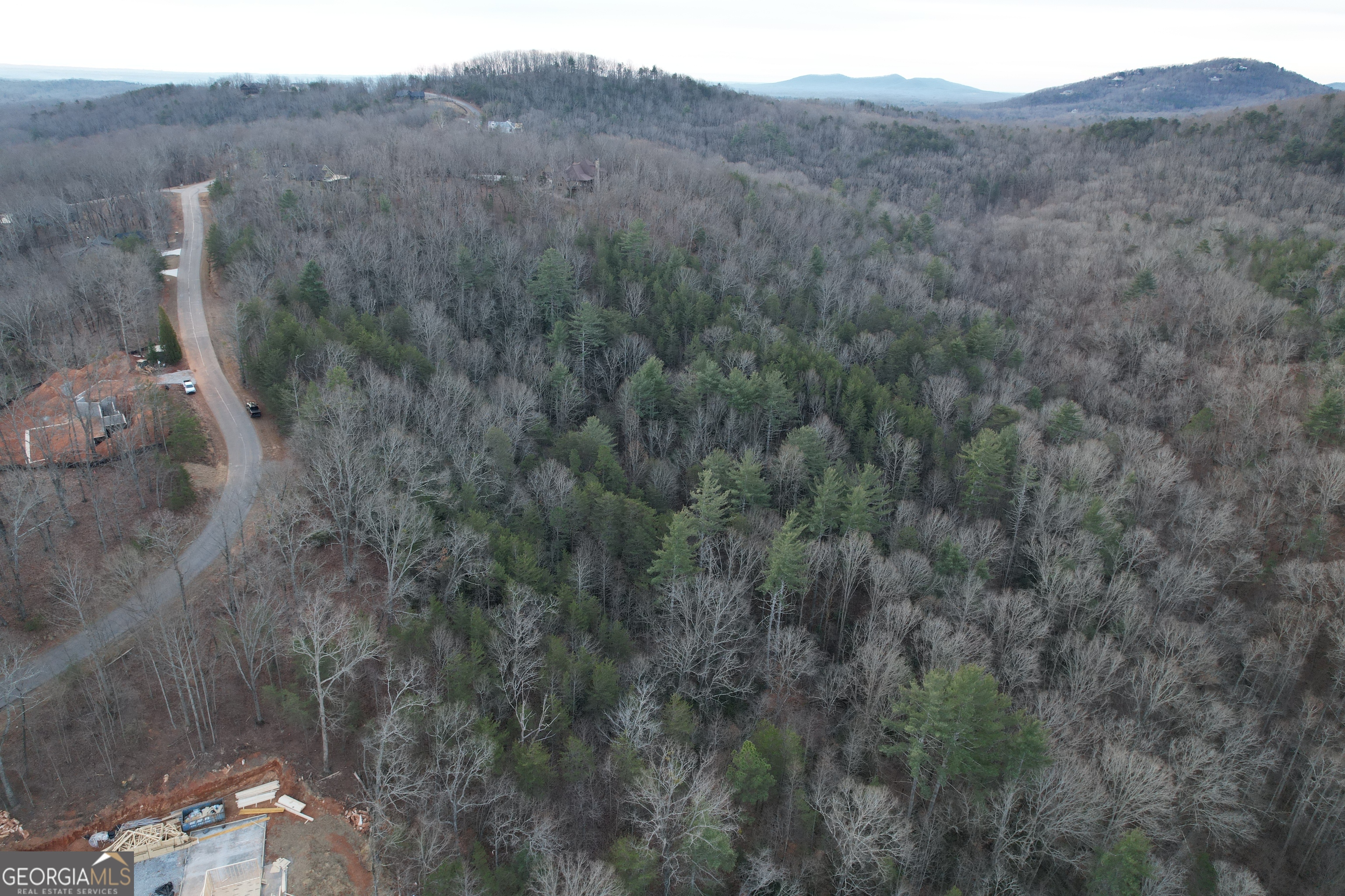 0 North Laceola Road, Unit LOT 119 Cleveland, GA 30528 - Photo 17 of 21 a view of a dry yard
