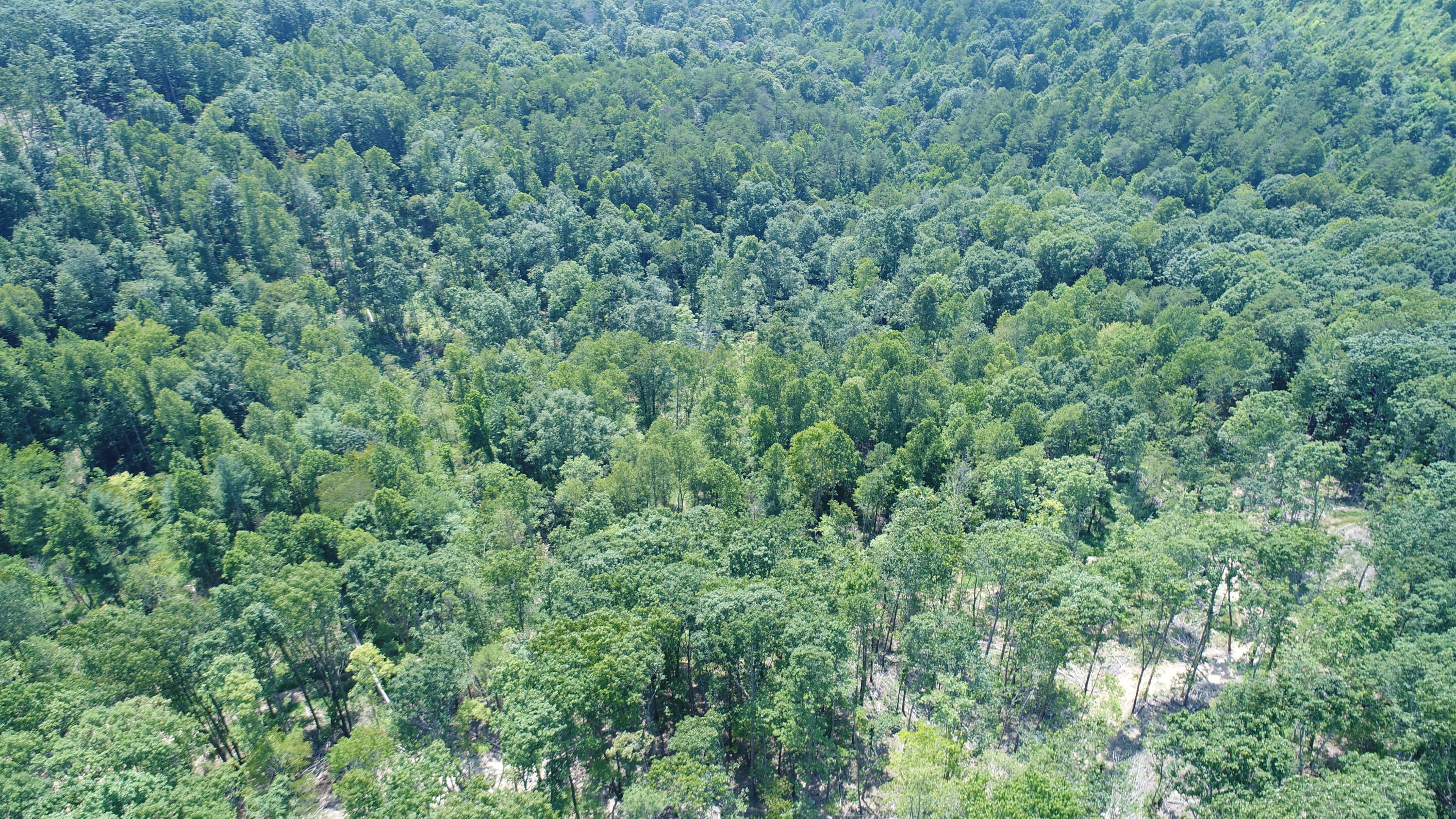 3006 Piney Grove Road Somerset, KY 42501 - Photo 48 of 52 DJI_0647