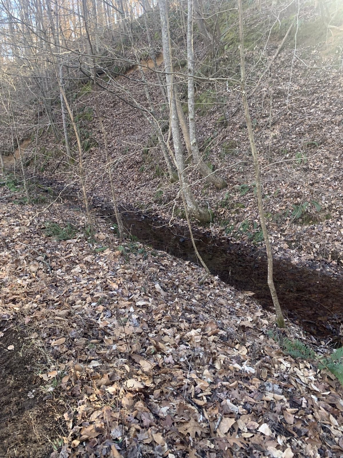 1252 Kelly Road Centerville, TN 37033 - Photo 2 of 13 a view of a dry yard