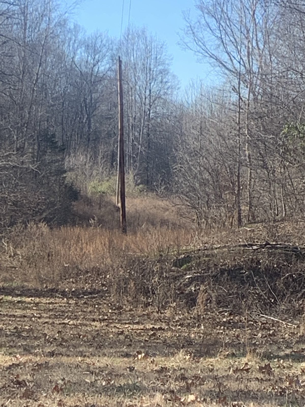 1252 Kelly Road Centerville, TN 37033 - Photo 7 of 13 a view of a dry yard