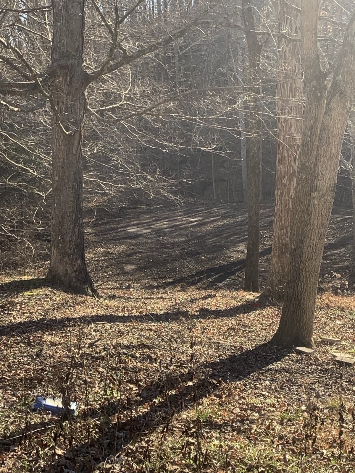 1252 Kelly Road Centerville, TN 37033 - Photo 9 of 13 a view of a wooden door