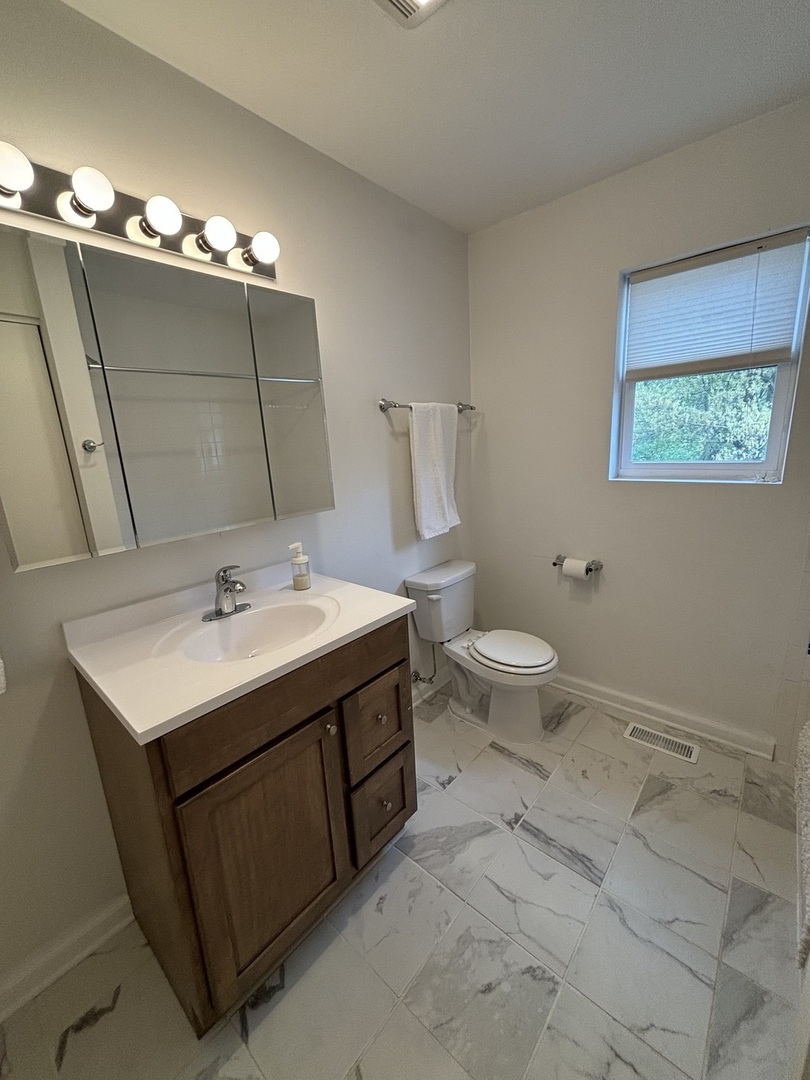 2461 Hawthorne Road Homewood, IL 60430 - Photo 20 of 37 a bathroom with a sink toilet and a mirror