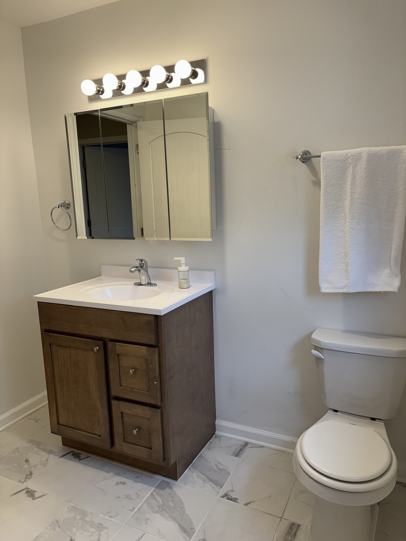 2461 Hawthorne Road Homewood, IL 60430 - Photo 24 of 37 a bathroom with a sink vanity and a toilet