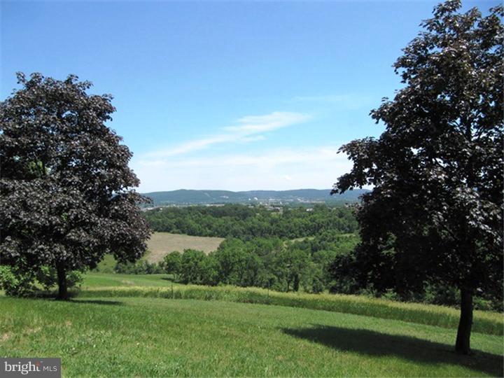 789 Bossler Road Leesport, PA 19533 - Photo 21 of 25 Back Yard