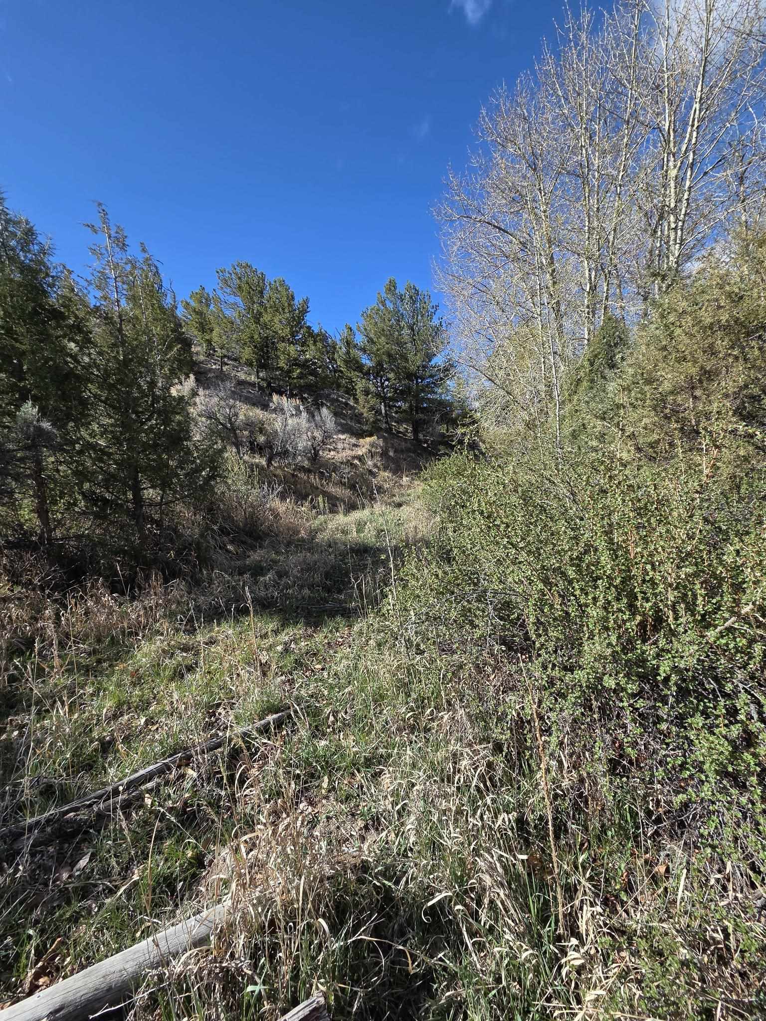 183 Bald Mountain Road Dubois, WY 82513 - Photo 44 of 48
