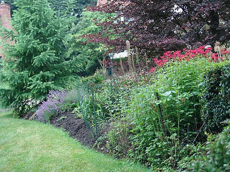 10126 Deer View Point Road Wexford, PA 15090 - Photo 25 of 25 Yard/Garden.