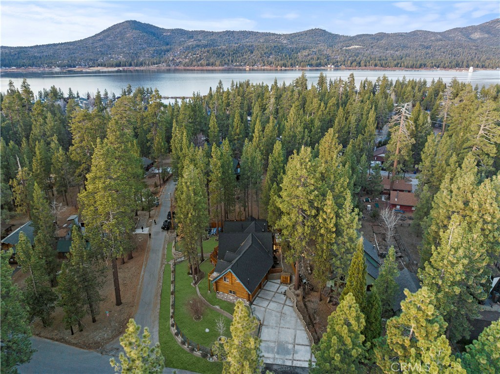 39900 Forest Road Big Bear Lake, CA 92315 - Photo 73 of 75