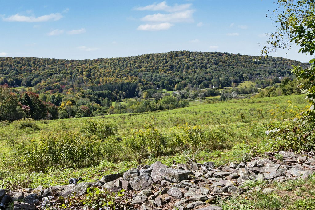 881 Turnpike Road Meredith, NY 13757 - Photo 50 of 50 Gallery Image 50