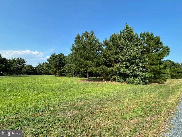 0 Purnell Crossing Road Pittsville, MD 21850 - Photo 1 of 10