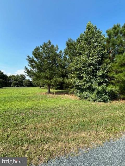 0 Purnell Crossing Road Pittsville, MD 21850 - Photo 3 of 10