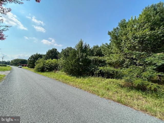0 Purnell Crossing Road Pittsville, MD 21850 - Photo 4 of 10