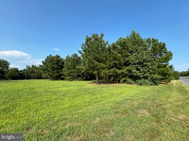 0 Purnell Crossing Road Pittsville, MD 21850 - Photo 5 of 10