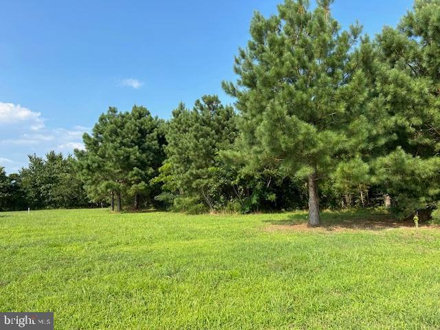 0 Purnell Crossing Road Pittsville, MD 21850 - Photo 6 of 10