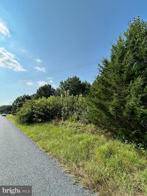 0 Purnell Crossing Road Pittsville, MD 21850 - Photo 7 of 10