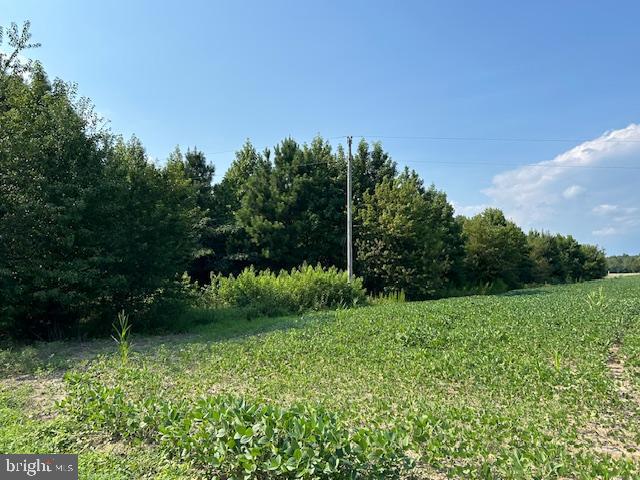 0 Purnell Crossing Road Pittsville, MD 21850 - Photo 8 of 10
