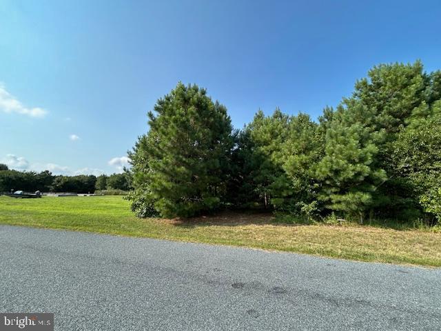 0 Purnell Crossing Road Pittsville, MD 21850 - Photo 10 of 10